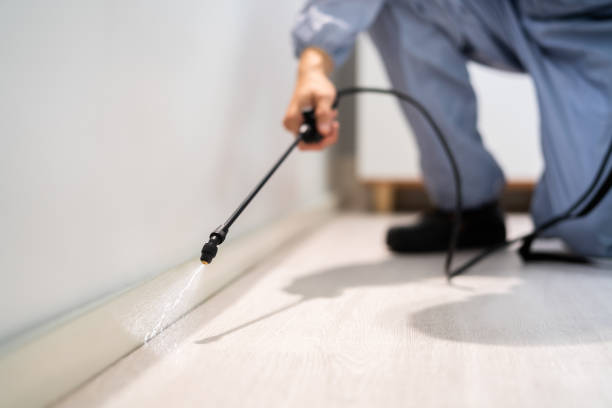 Licensed Pest Control service in Apex, NC - Show Me Pest Control