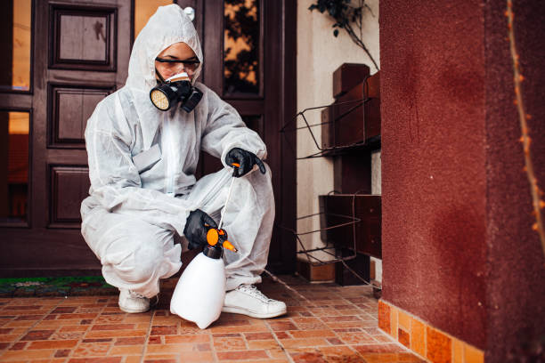 Reliable Ant Control contractor in Apex, NC by Show Me Pest Control